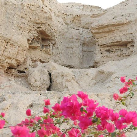 Villa Dead Sea Dawn à Neot HaKikar Extérieur photo