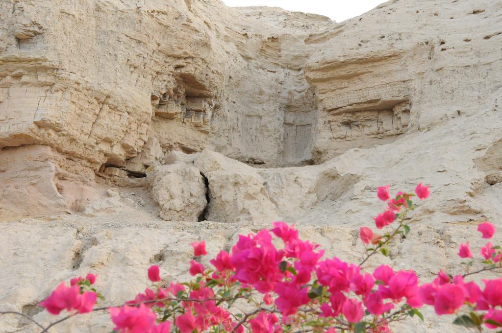 Villa Dead Sea Dawn à Neot HaKikar Extérieur photo